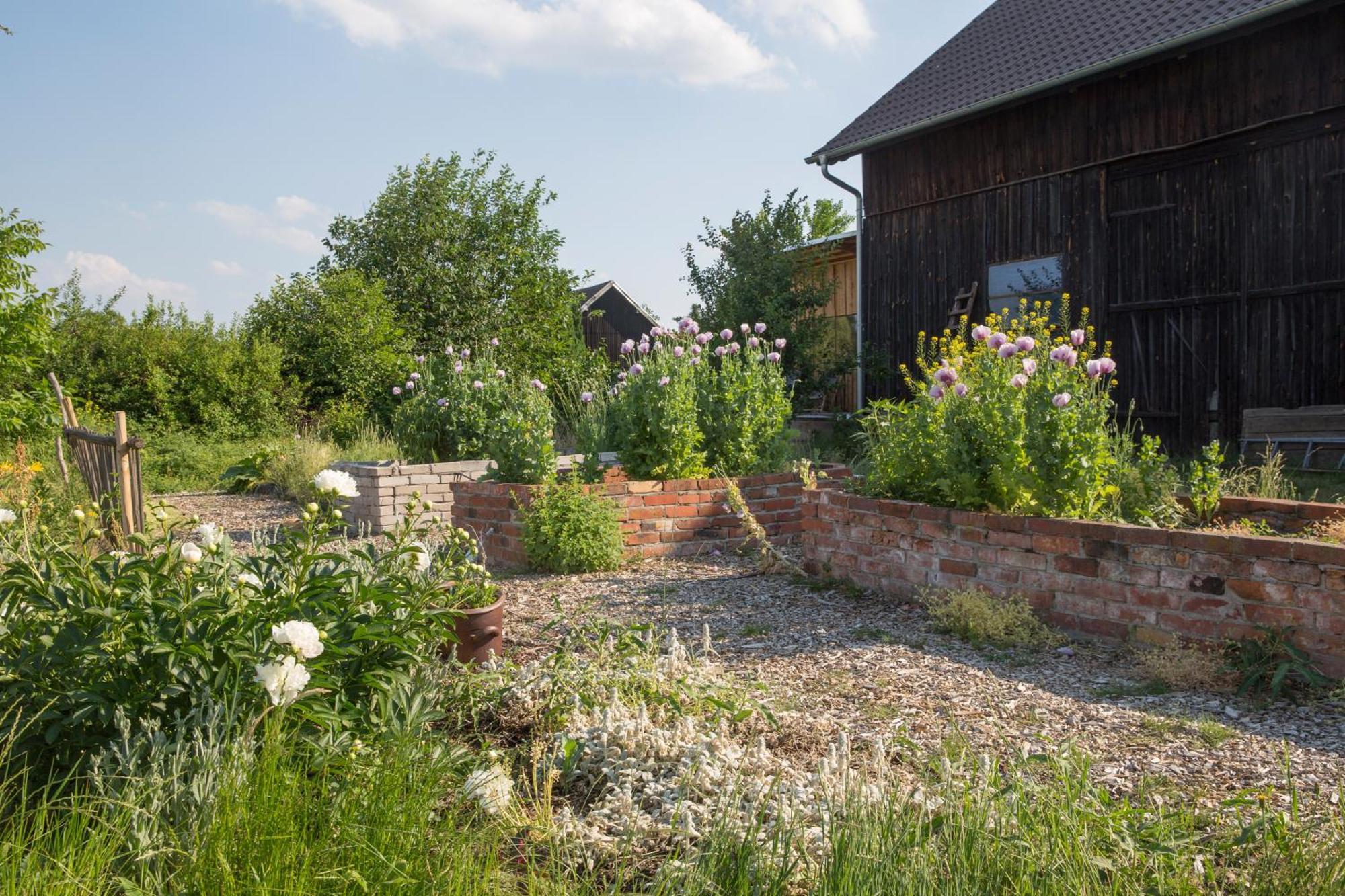 Alte Flachsfarm Κότμπους Εξωτερικό φωτογραφία